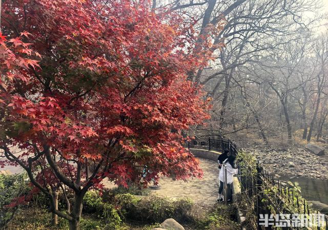 北九水网红路，周末打卡人气高！