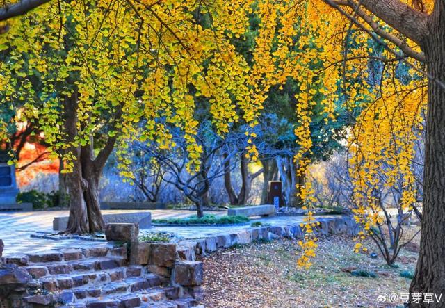 无锡，今天最江南！