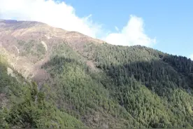 中科院最新研究：喜马拉雅高山树线加速向高海拔扩张 为全球变暖添新证图片