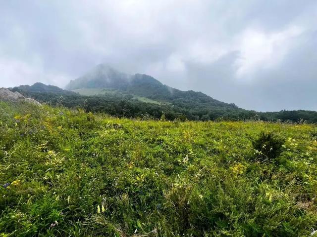 秋实累累｜清水镇：秋行生态花谷 邂逅诗情画意