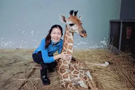 “00后”剑桥毕业生成为动物园饲养员，为了事业编大材小用？图片