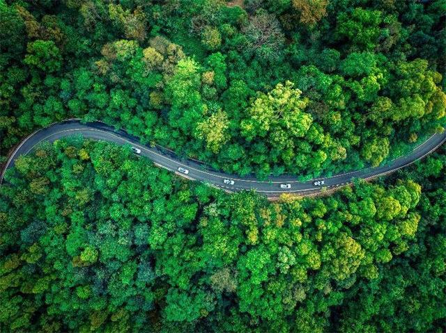 斩获大奖 载誉而归！湄公河旅游携旗下多景区亮相携程全球合作伙伴峰会