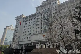 “温度+速度”解封冻结的银行账户 武汉中院巧解一起债务纠纷助企业变双难为双赢图片