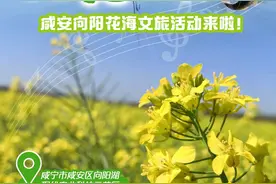 联“县”直播预告丨云游花花世界·油菜花海 咸安向阳花海文旅活动来啦！图片