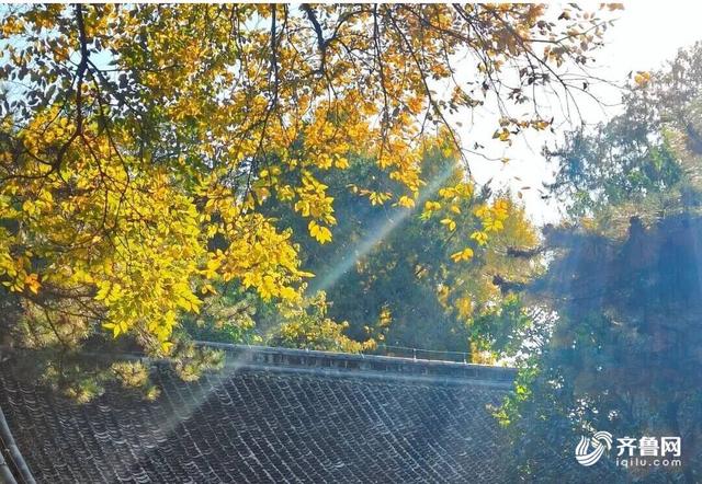 组图丨一大波美图来袭！泰山景区9个赏秋地超出片