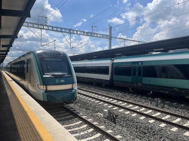 行走拉美手记｜玛雅铁路：从墨西哥文明深处驶向未来