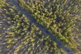 河北曲周：昔日盐碱荒芜地 今日美景醉游人图片