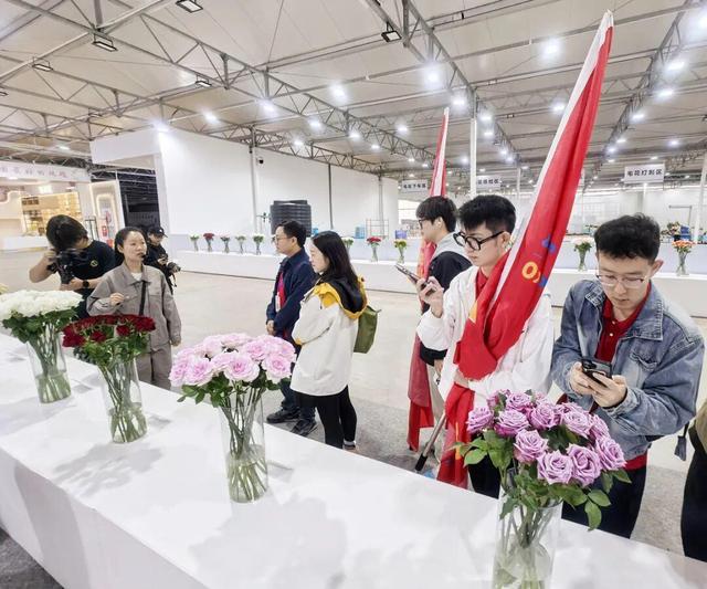 途经多个热门景点，丽江这趟旅行直通车开始运营！
