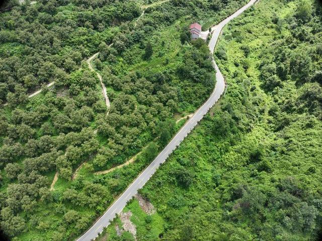 保康县：绿遍山原 林翠满川