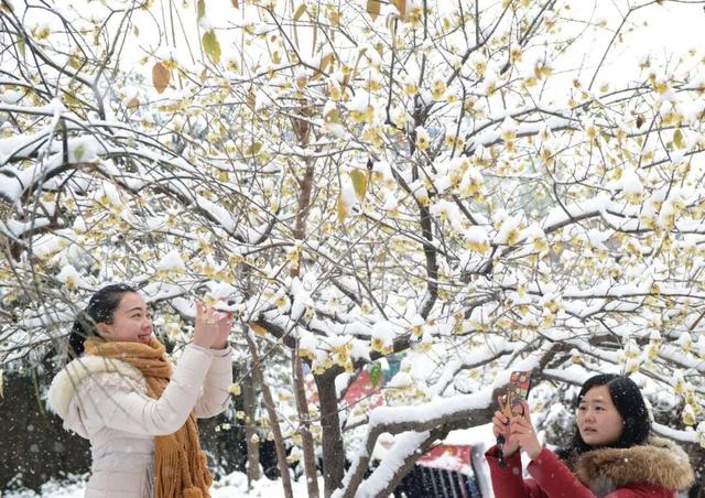 “冬游保康”，藏着整个冬天的浪漫与温暖