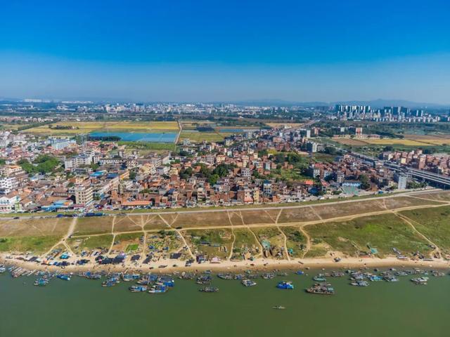 三水大片油菜花海超美超出片！免费赏