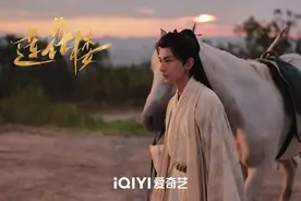 为看《莲花楼》演唱会，观众给爱奇艺充值到2029年图片