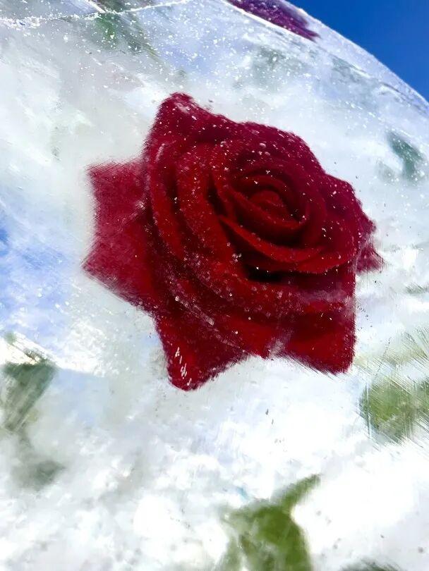 期待！净月潭的冬天 是这样式儿的！