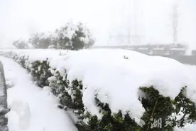 鹤峰：银装素裹 童趣盎然图片