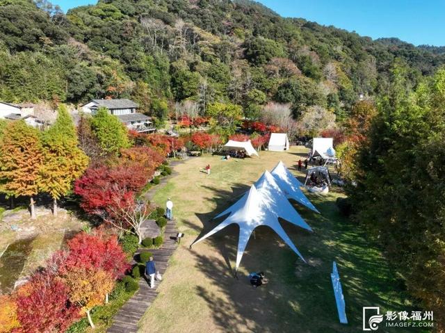 色彩斑斓！福州迎来红叶季