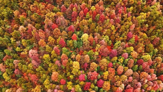 这个冬天，到贵州赴一场色彩之约