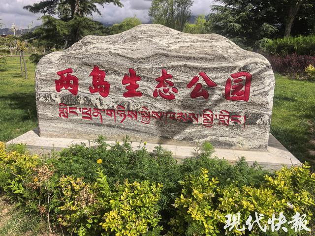 荒地变绿洲公园，69岁拉萨大叔爱上家门口的Citywalk