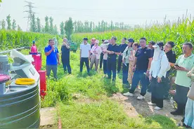 单产提升有良方 玉米地里取真经图片