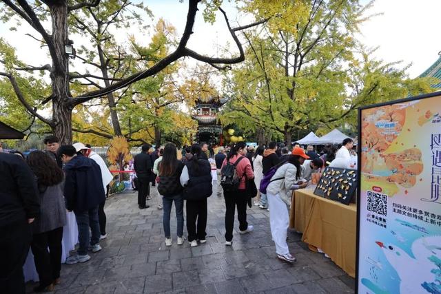 “寒假去哪儿？” 答：有海鸥、20℃、还不用人挤人的昆明！