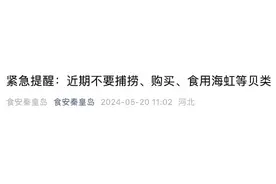 爱吃海鲜的朋友，近期勿食海虹！图片