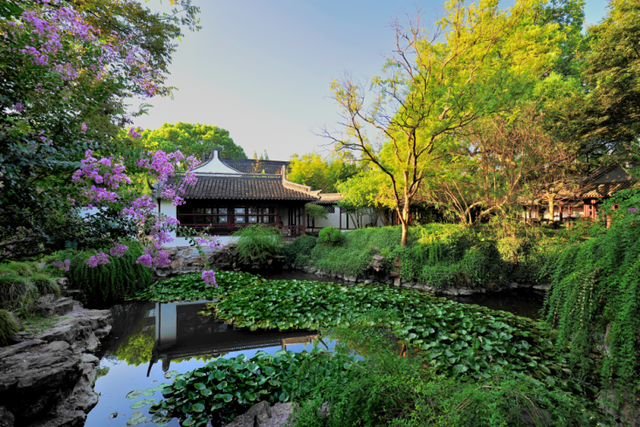 上海公园9月花展活动预告来啦！随手拍美景，“寻觅魔都绿踪，转角遇到美”征集活动持续进行中……