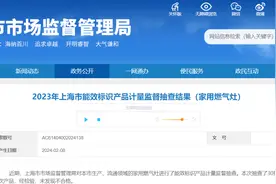 2023年上海市能效标识产品计量监督抽查结果（家用燃气灶）图片