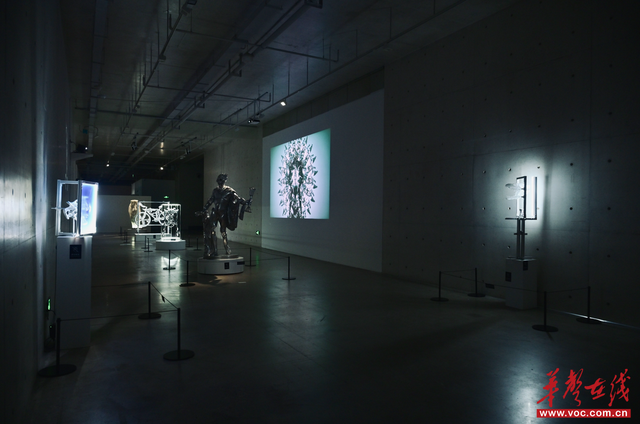 湘约“双节”⑪丨谢子龙影像艺术馆展览声音艺术，“后人类纪”需要你发挥想象！