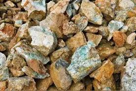 创新服务“0130”报关 跨境易货贸易实现首单承保图片