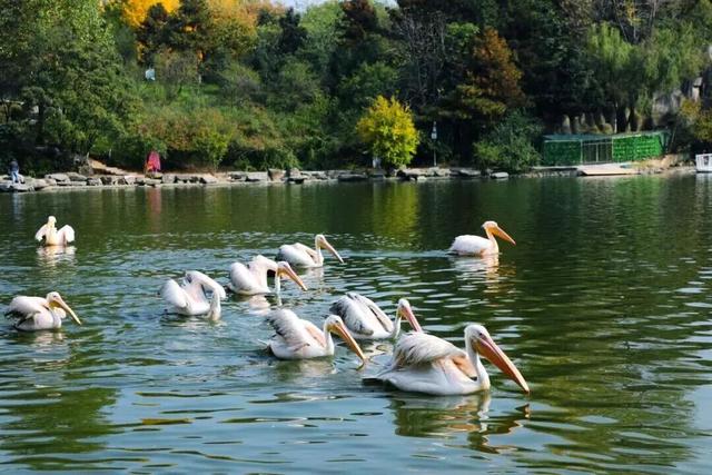 曲江这些地方入选重磅榜单！