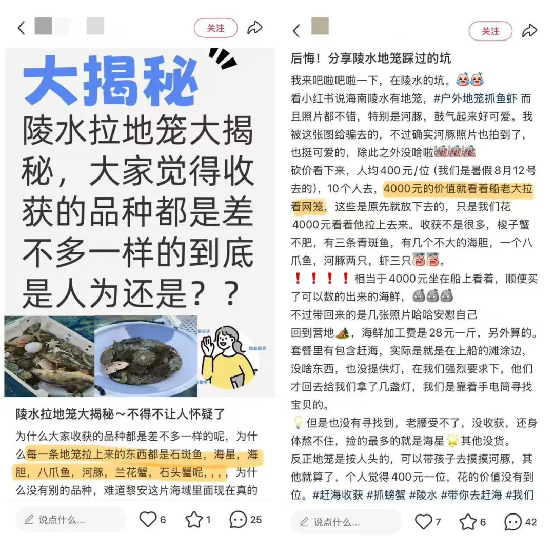 “宠客式”赶海火了！究竟是“福”还是“祸”？