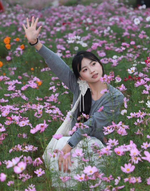 花海惹人醉