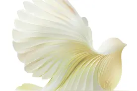 11月9日看点 | 《石评梅》展现程腔新韵，北京人艺上海驻演今晚收官图片