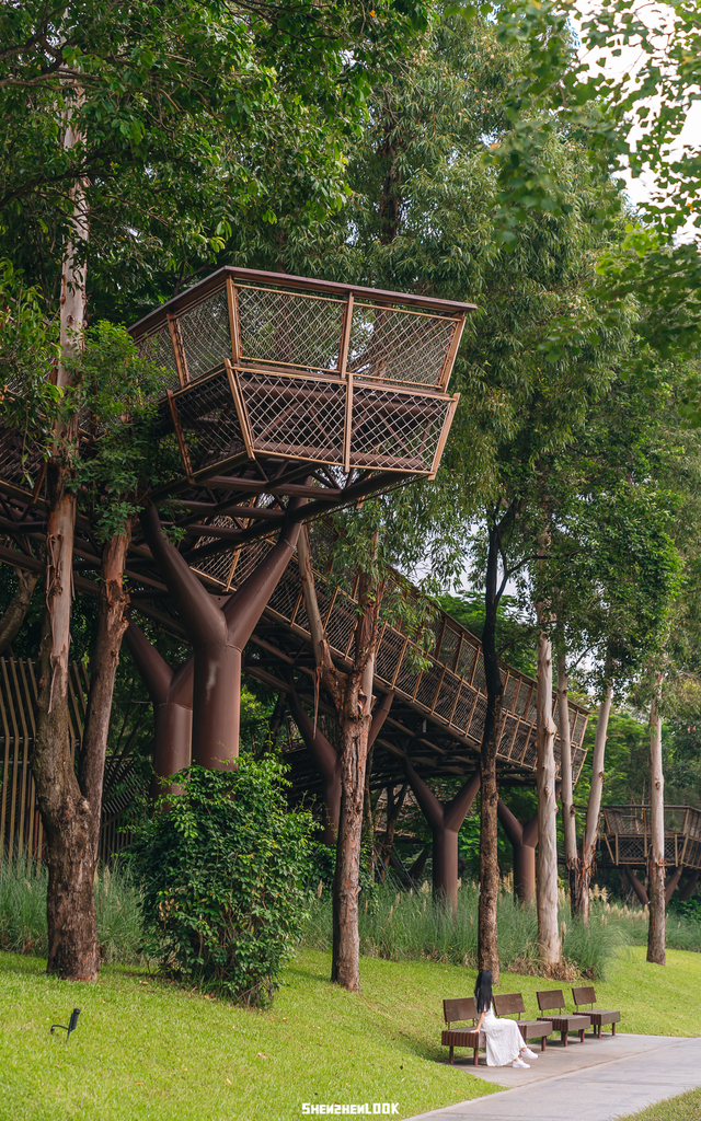 “看牛看海看夜景，深圳骑行路线精选”