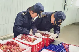 前11个月四川外贸进出口增长8.7% 规模创历史同期新高图片