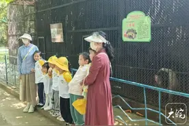 蚌埠一幼儿园买只萌宠“小香猪”  四年后长到300多斤图片
