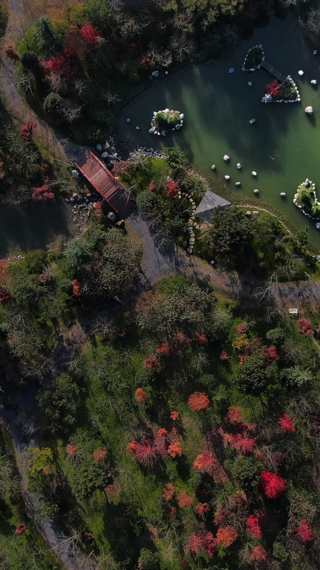 荆州风景地图：从古城墙到浅山，解锁5处限定美色