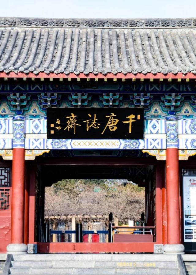 开学第一课，云游河南探寻“写意中国”