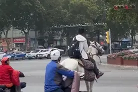 果然视频｜小伙骑马走天涯惹争议图片
