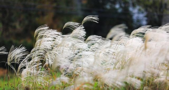 旌德，红黄橙绿白～