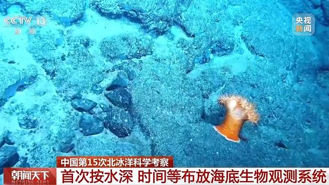 载人+无人 我国双潜器在北极深海实现多个首次