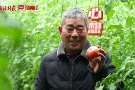 “番茄书记”话民主图片