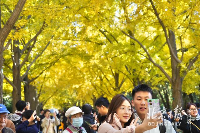 拥抱秋色！地坛银杏大道游人如潮