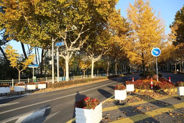 别错过，用Citywalk感受落叶的浪漫→