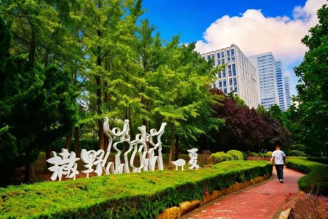 “鲸”喜！大连再添3座口袋公园