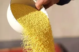 非遗新魅力 | 武乡县：黍米枣糕蒸出浓浓幸福年图片