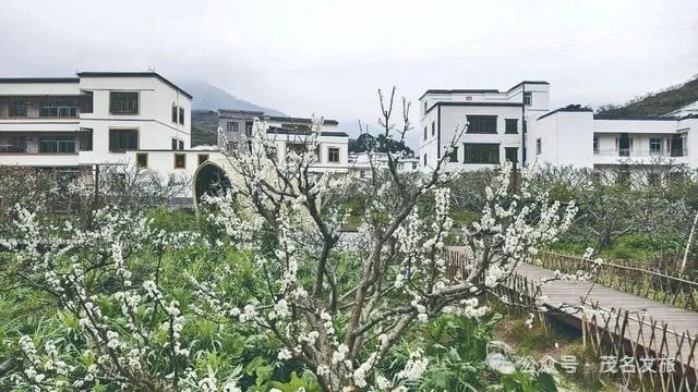 入选省级案例！ˎˊ˗ 茂名这里凭借“体育+”火出圈了！