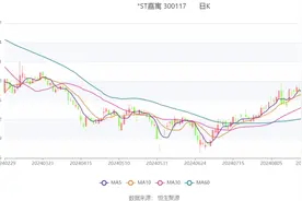 *ST嘉寓：2024年上半年亏损1.65亿元图片