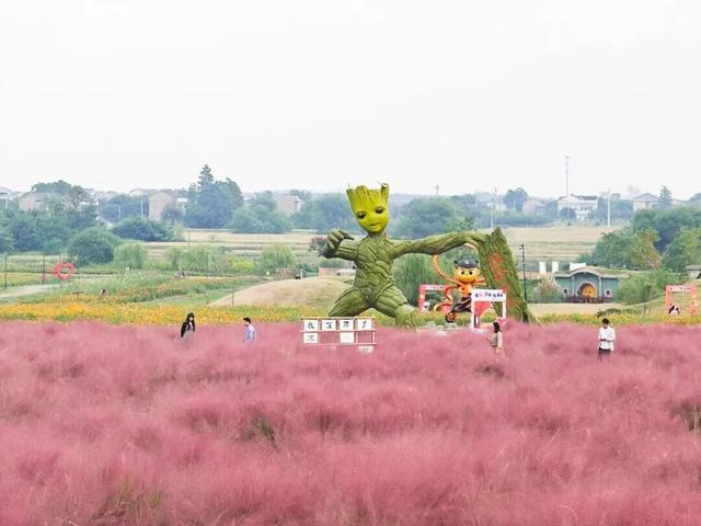 常州，又开始涨“粉”了！