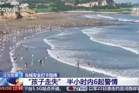 “我姐姐姑妈弟弟全丢了！”民警提醒：出门游玩看好孩子图片