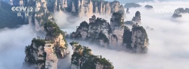 出行热度不减！“错峰游”享受假日同款精彩 海上跨境游掀热潮